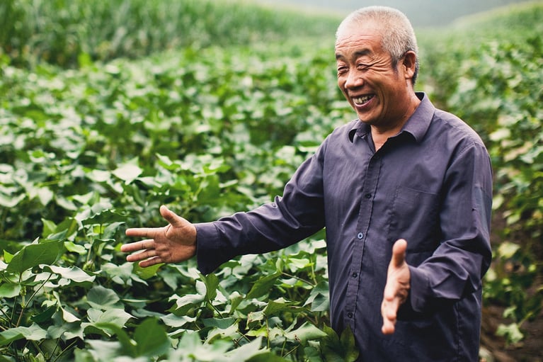Chinese farmer in field