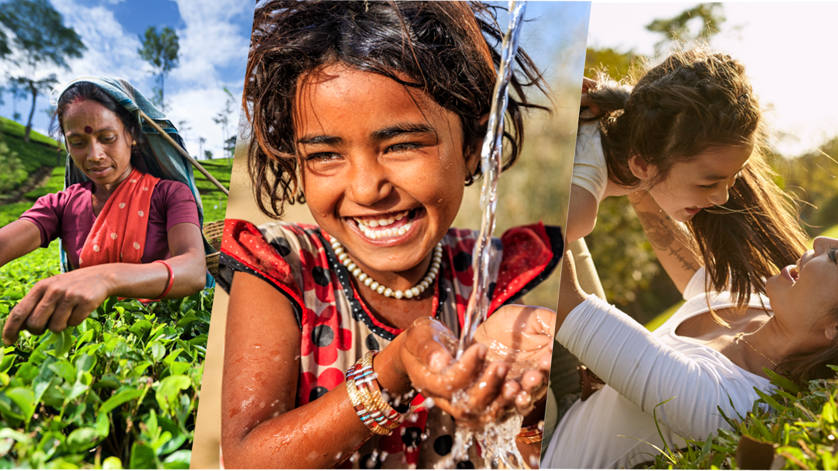 Sustainability Report India