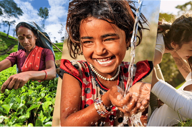 Sustainability Report India