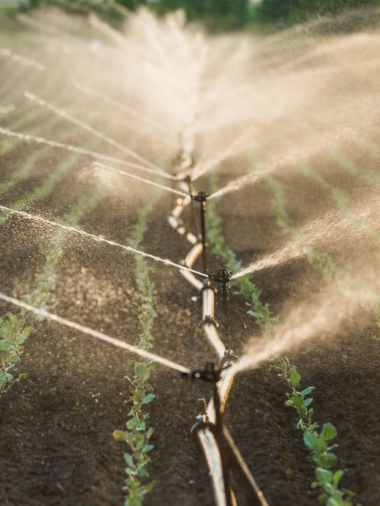 irrigation_in_a_soy_field.jpeg
