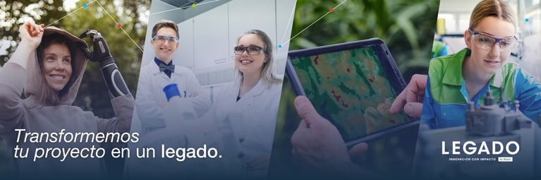 banners-legado-web-1440-x-480-px-1.png