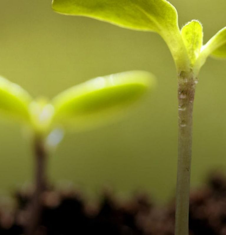 how crop protection saves 1280x650