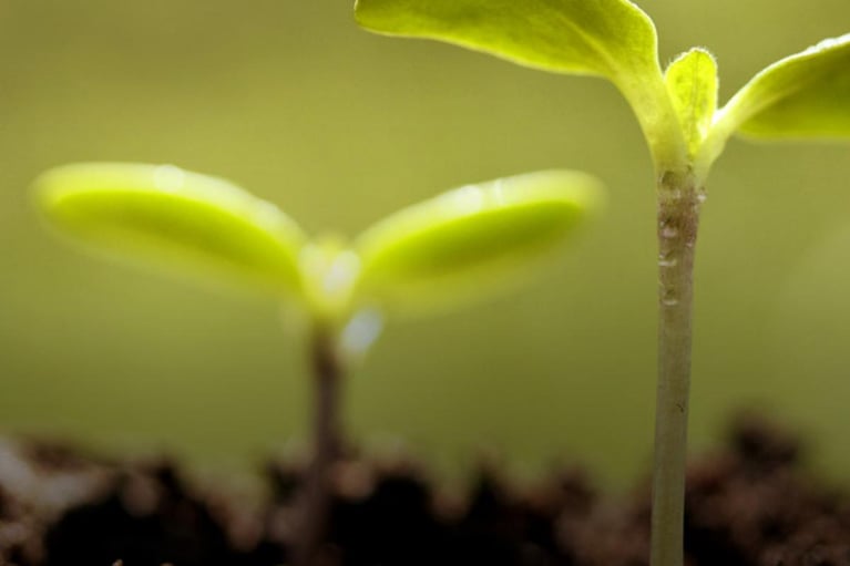 how crop protection saves 1280x650