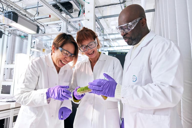 researchers at phenotyping platform 2