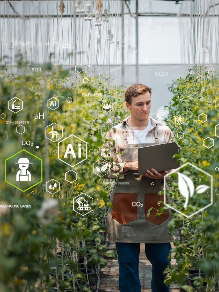 farmer-using-ai-app-2.jpeg