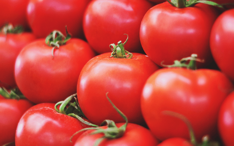 tomatoes