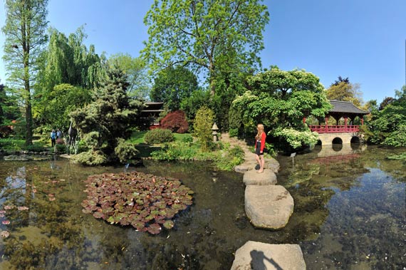 4-artificial-island-in-japanese-garden.jpg