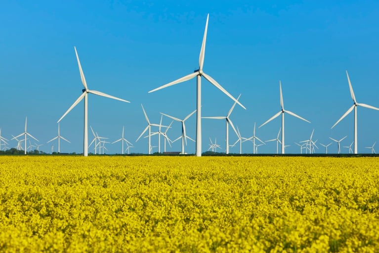 eoliennecolza.png