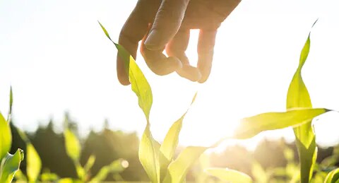 bayer-cropscience-compromissos-interna-7.jpg