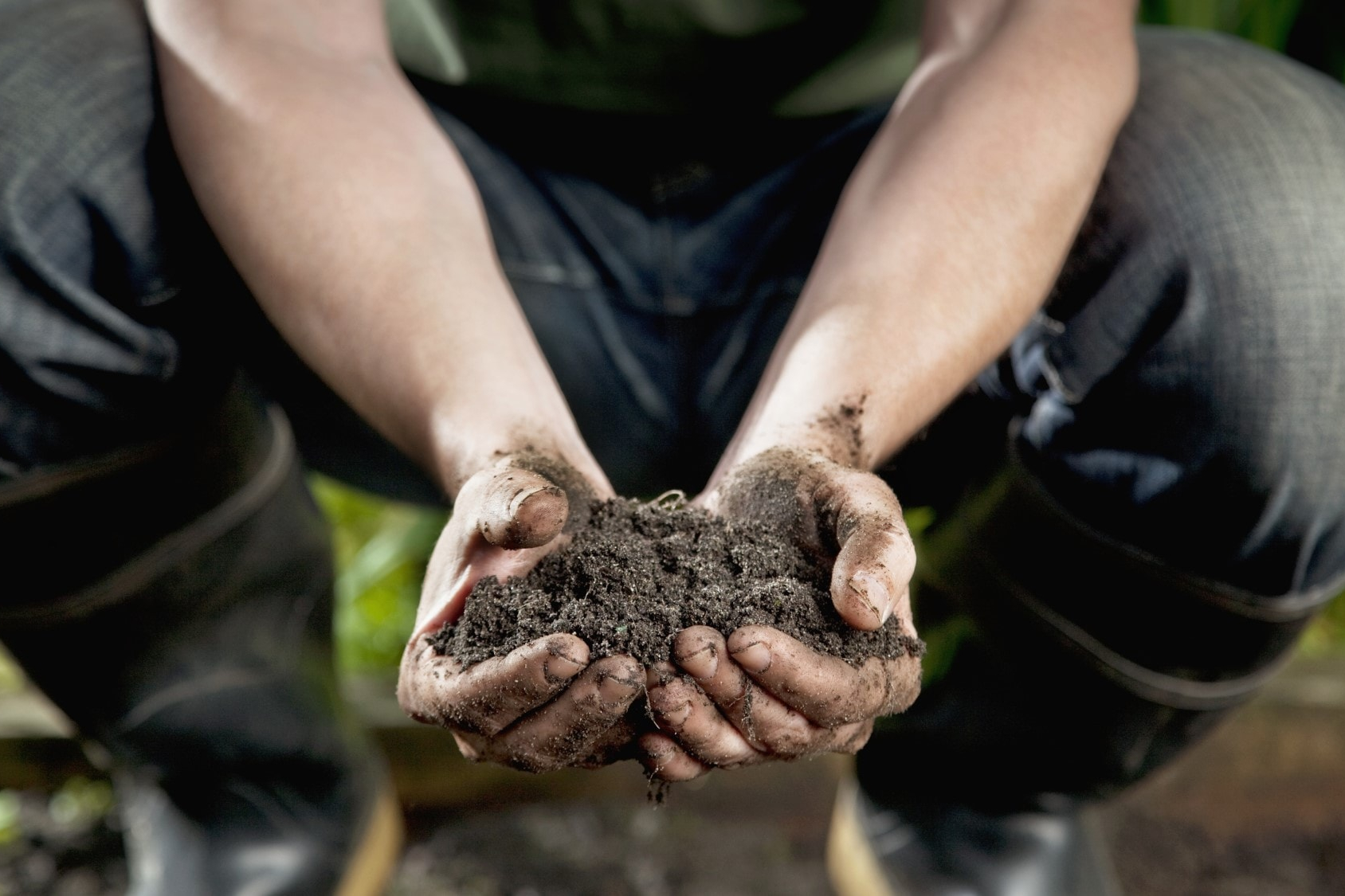 hands holding soil