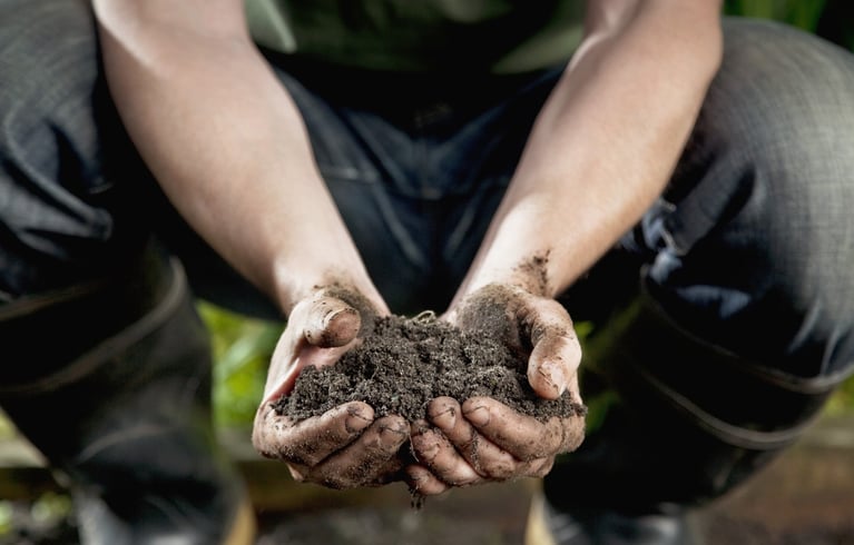hands holding soil