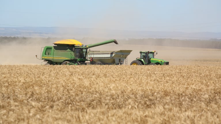 Julia header picture .jpg