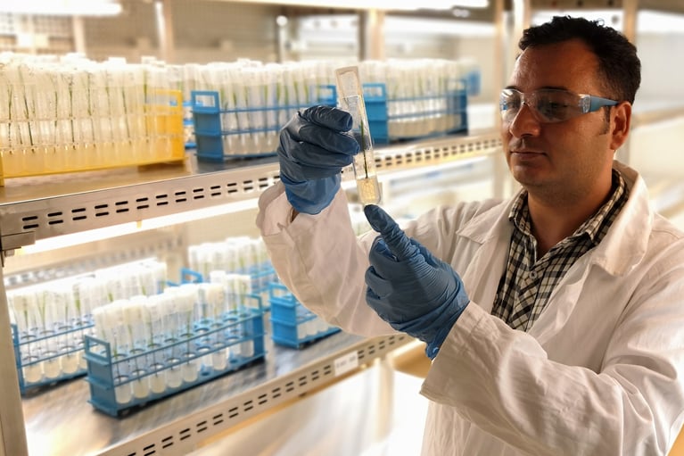 researcher_checks_seedlings_in_a_lab.jpg