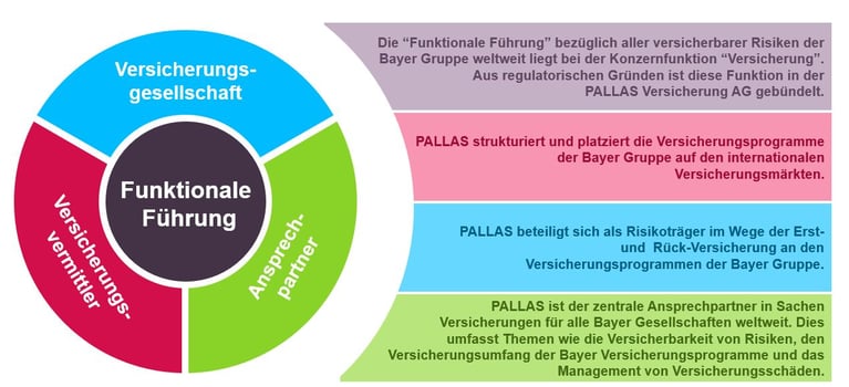 Übersicht der vier zentralen Aufgaben von Pallas.