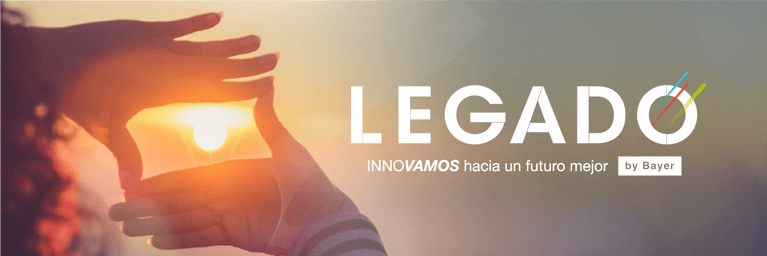 web-header-2.png