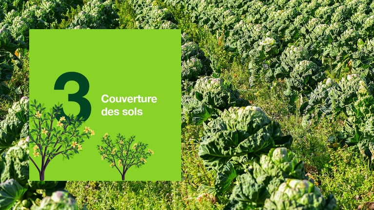 5-bonnes-pratiques-decarbonation3.png