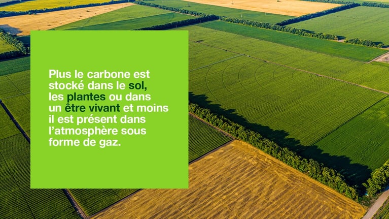 5-bonnes-pratiques-decarbonation6.png