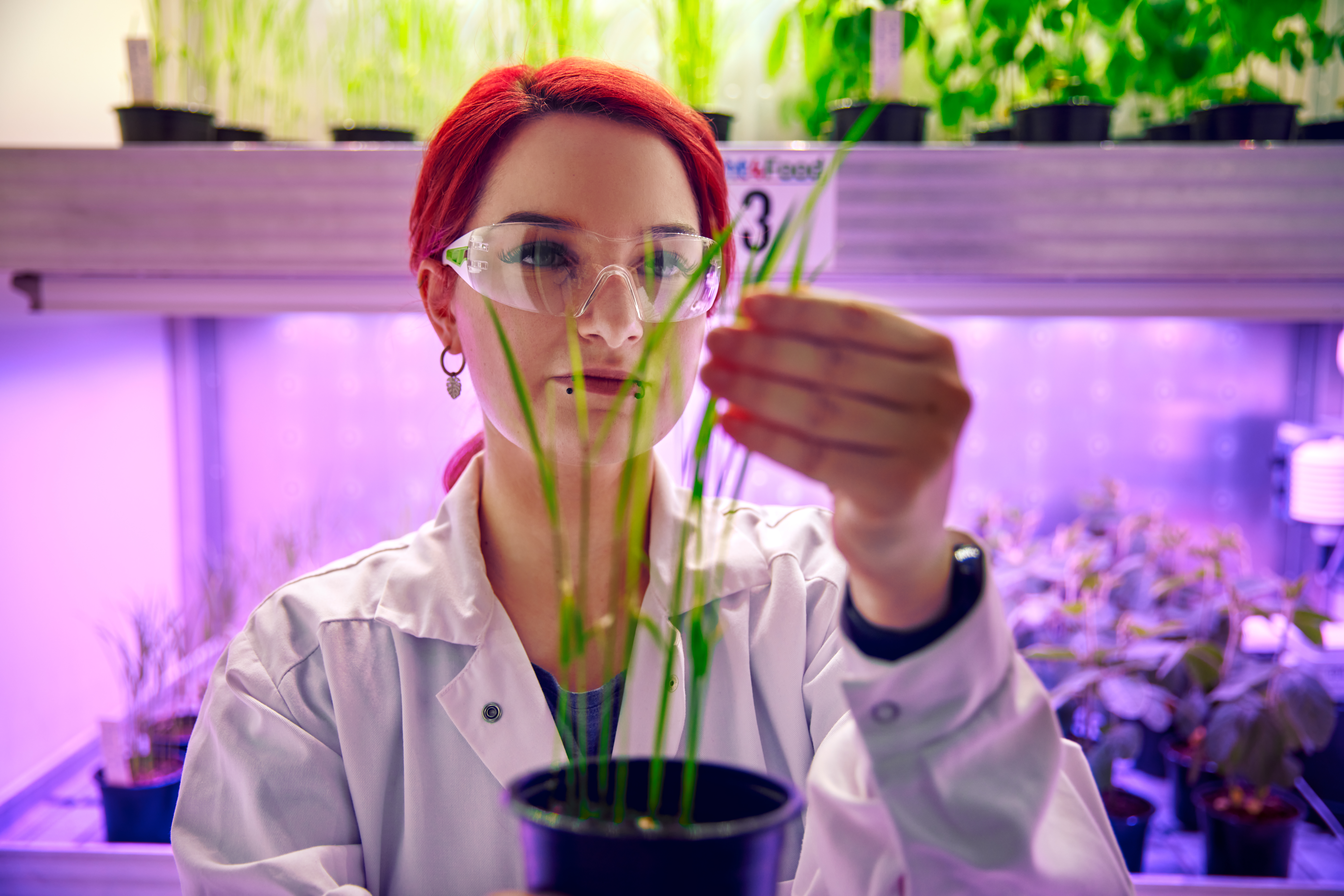 trainee-checking-plant.jpg