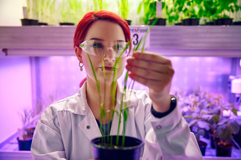 trainee-checking-plant.jpg
