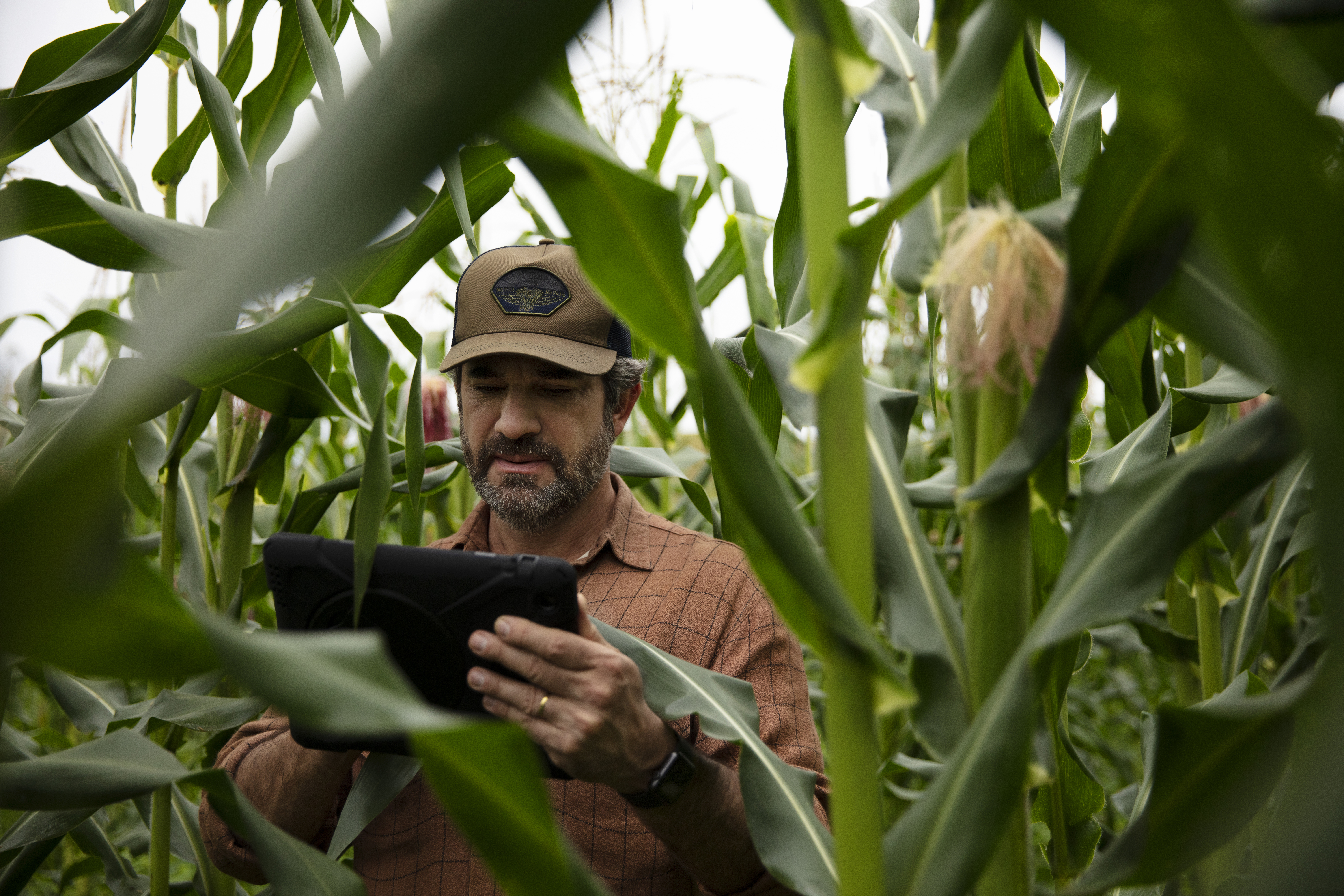 farmer_with_tablet_in_cornfield_1.jpg