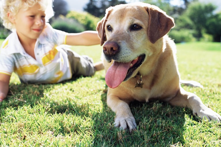 boy_with_labrador.jpg