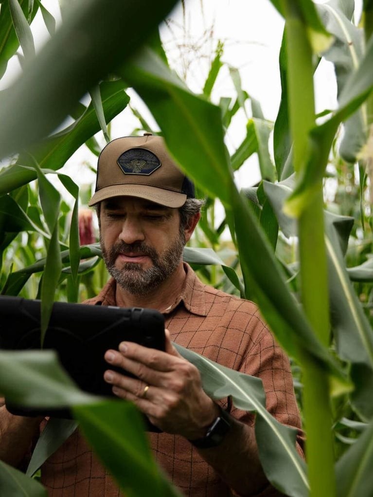 Farmer with tablet in cornfield 1 0