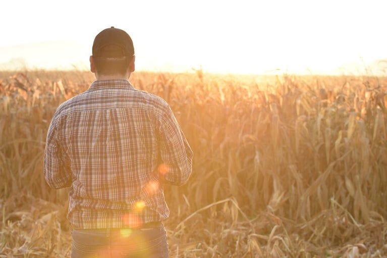 Gallery4 farmer with vitala Sunshot lateseason 1280x720