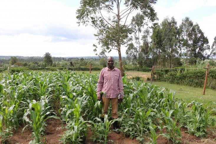 60db-at-bayer-corporation-centers-of-excellence-kenya-report-december-2024.jpeg