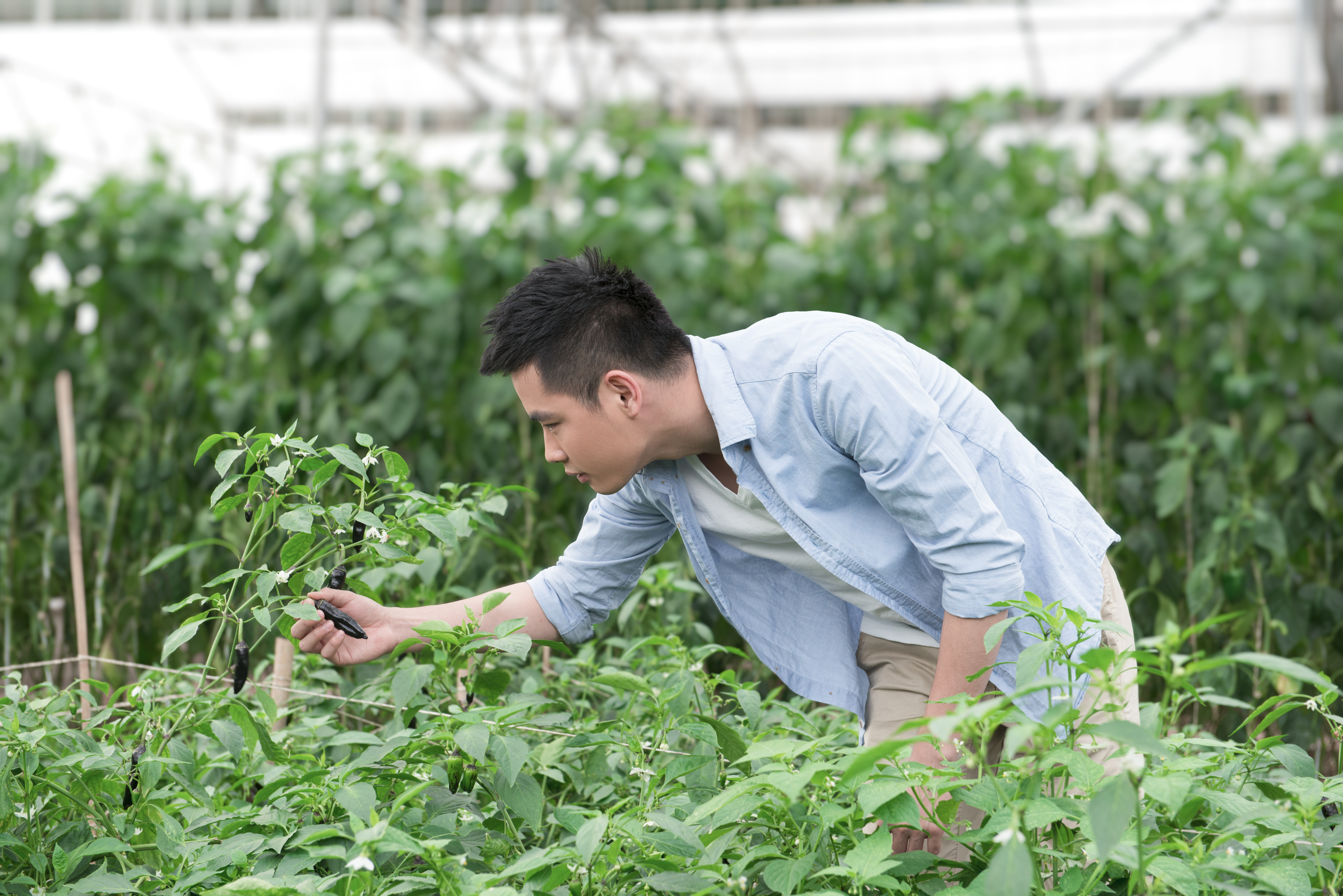 Bayer Korea News
