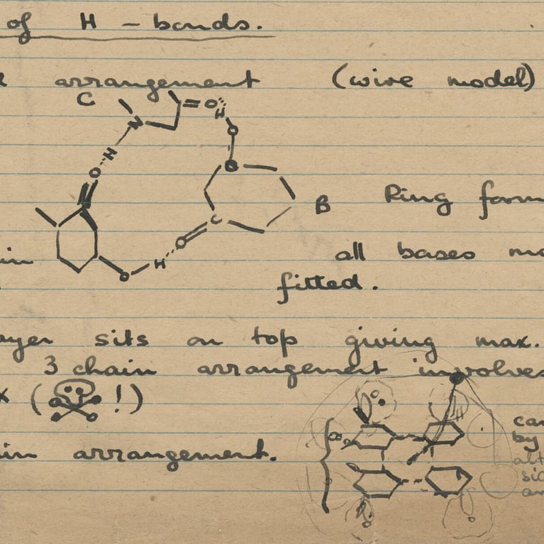 body rosalind franklin notes dna doublehelix 2 0