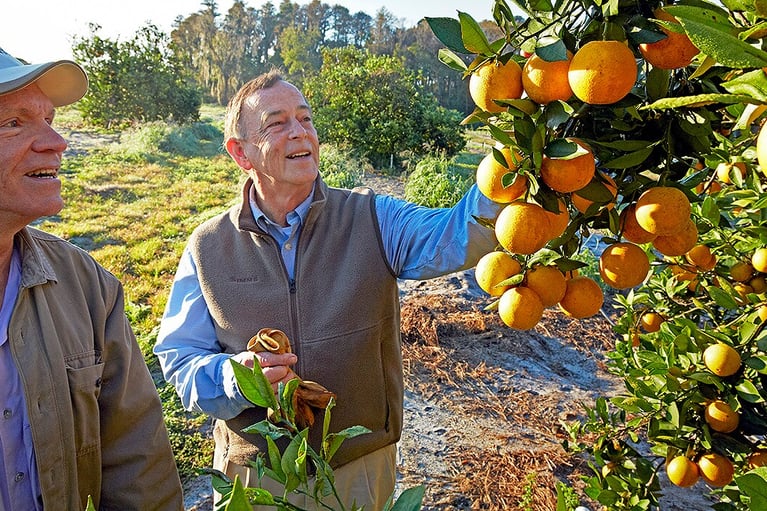 citrus florida aufmacher heromotiv 1440x698