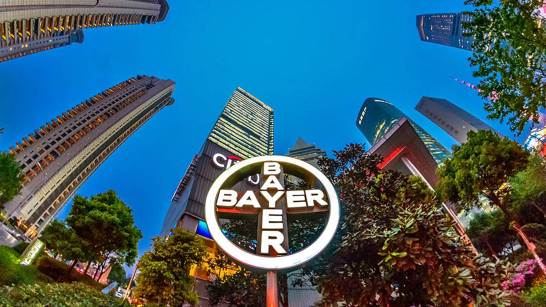 bayer cross in shanghai
