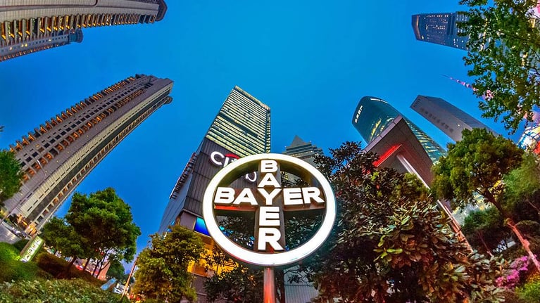 bayer cross in shanghai