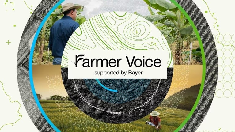 Farmer Voice Bayer Art