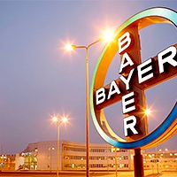 bayer cross in shanghai en 300x200