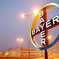 bayer cross in shanghai en 300x200
