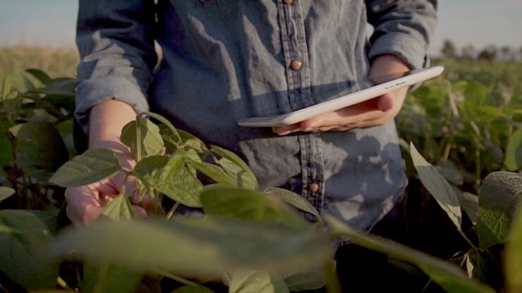 agricultura-sustentabilidad-tecnologia-digital-innovacion.jpg