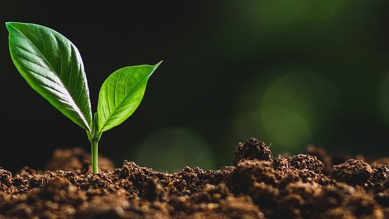 regenerative ag image slim