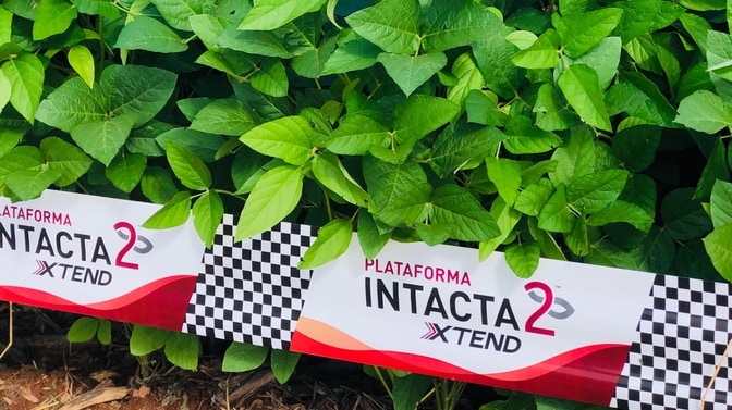 plataforma-intacta-2-xtend.jpg