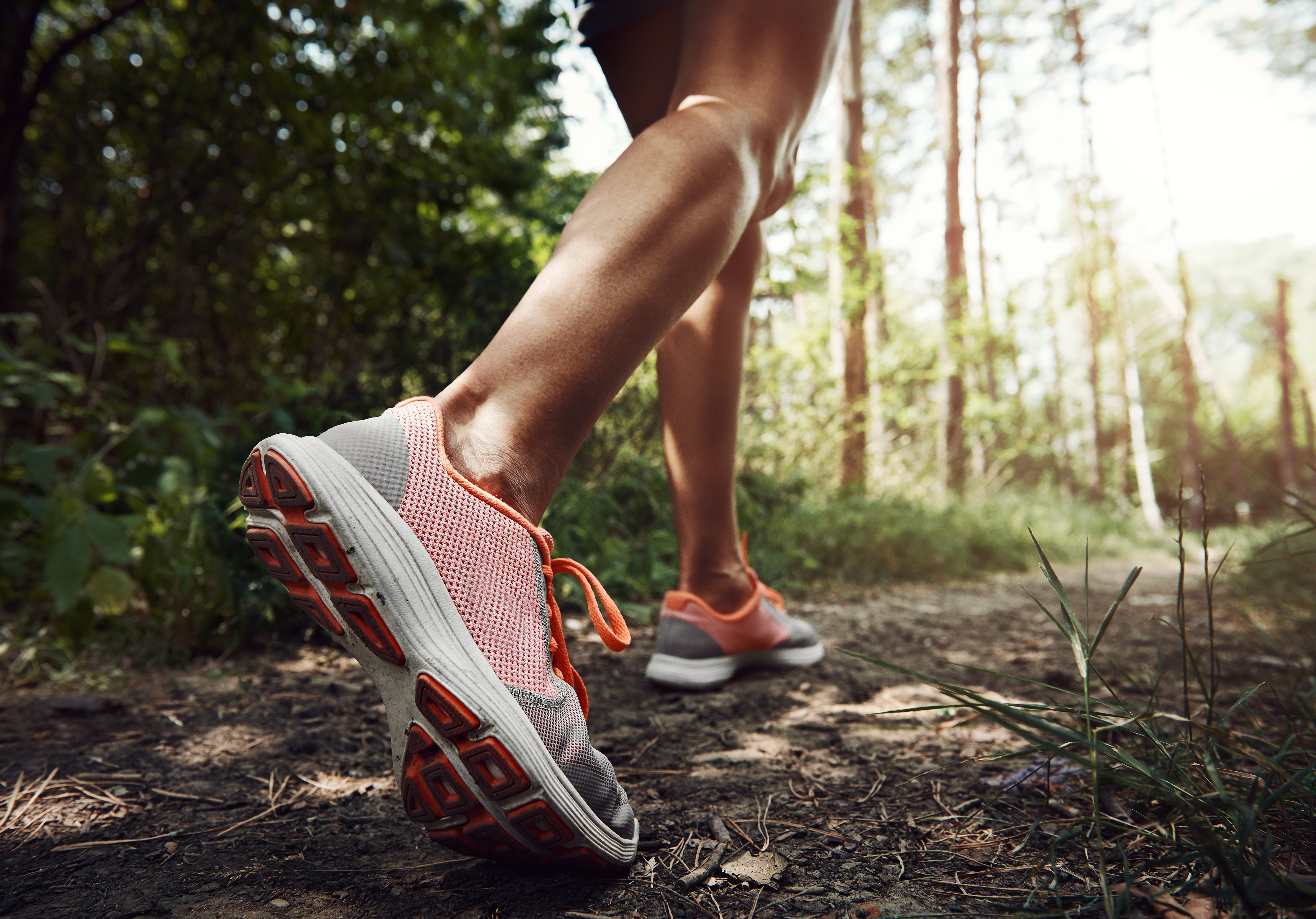 running_in_the_forest.jpg