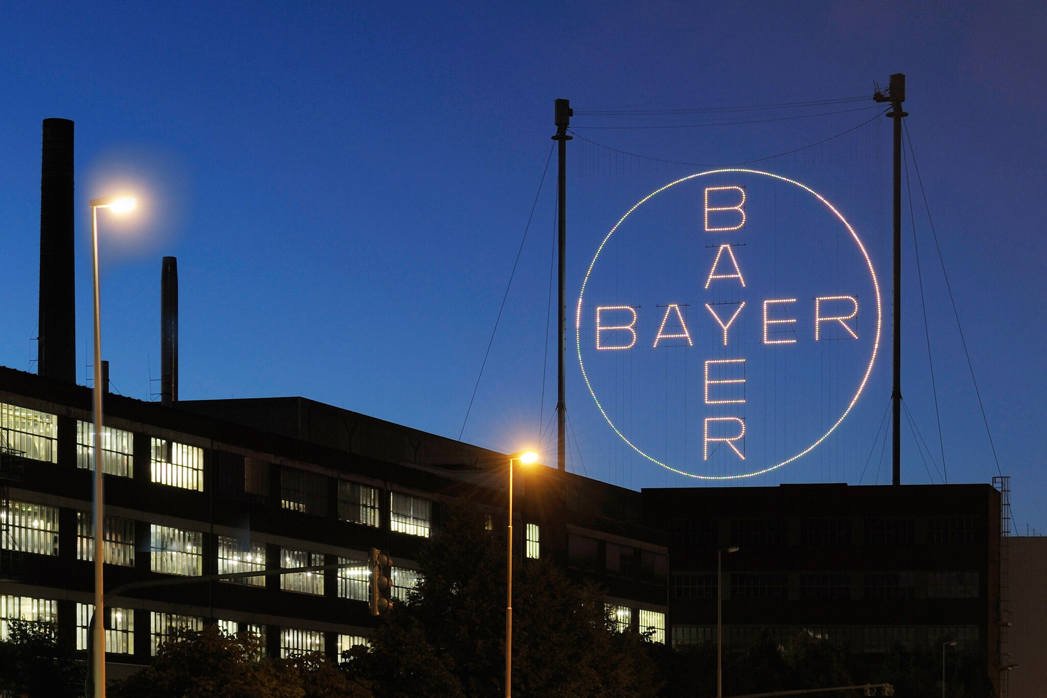 Bayer Cross 4