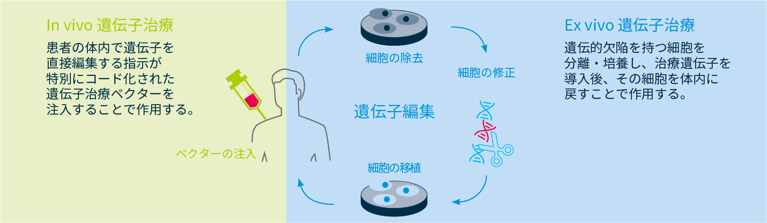 gene-editing-3.png