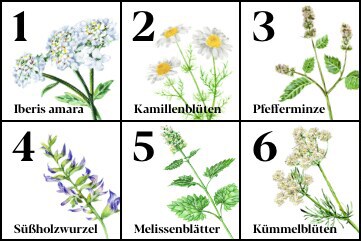 heilpflanzenextrakte-advance.jpg