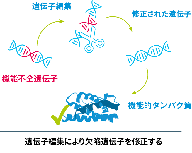 gene-editing-1.png