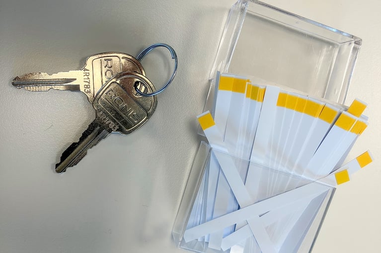 Baylab Enzymes Workshop