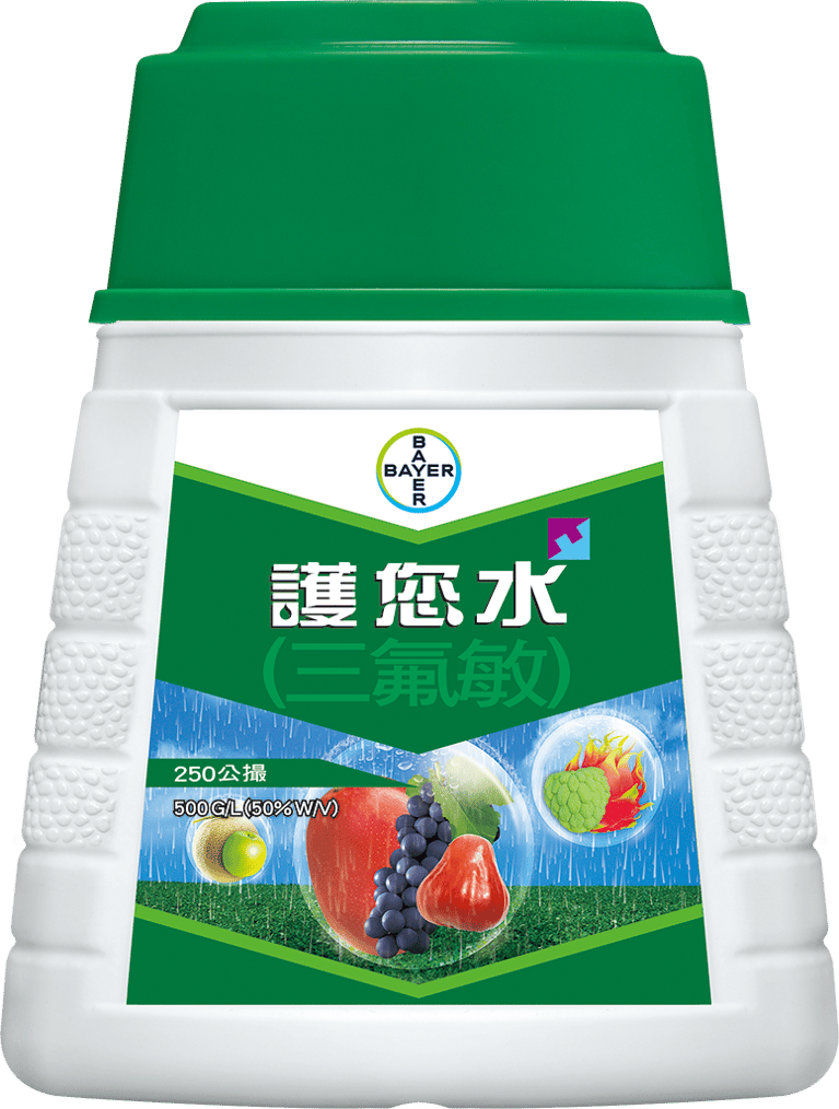 baiershajunjihuninshuitwist-0.png