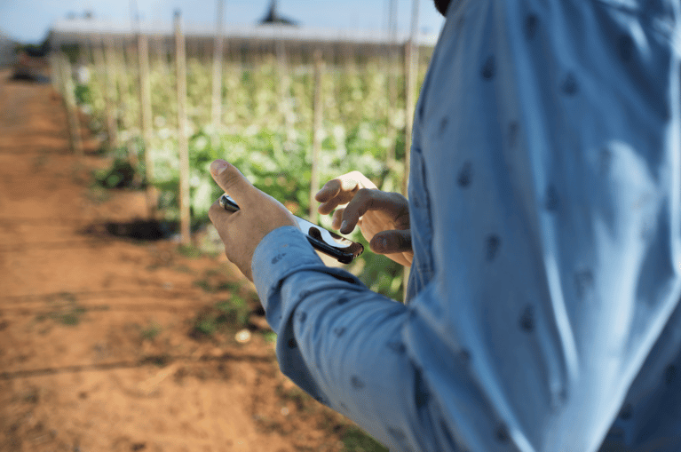 Farmer using smart phone