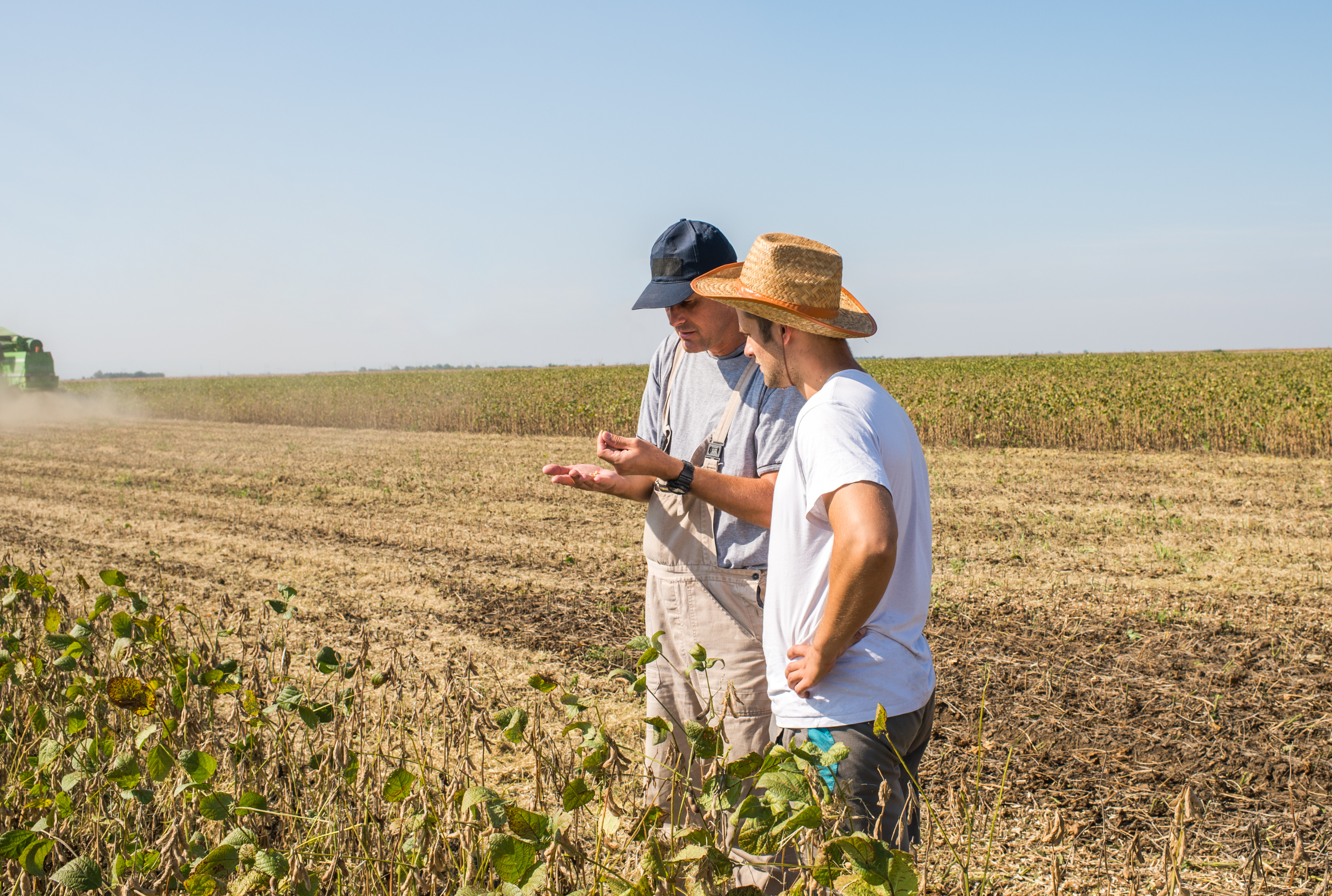 farmers_inspecting_crop.jpg
