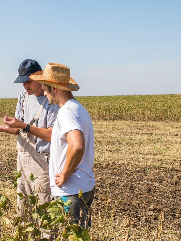 farmers_inspecting_crop.jpg