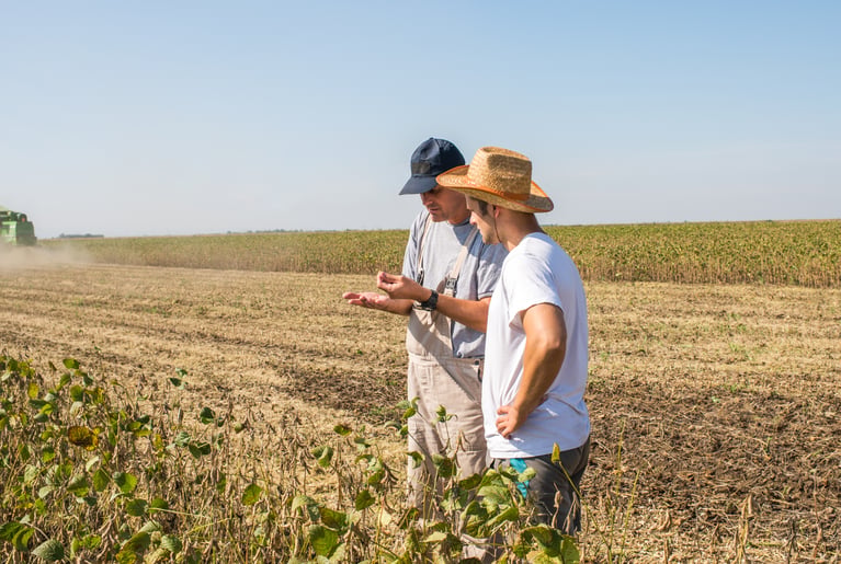 farmers_inspecting_crop.jpg
